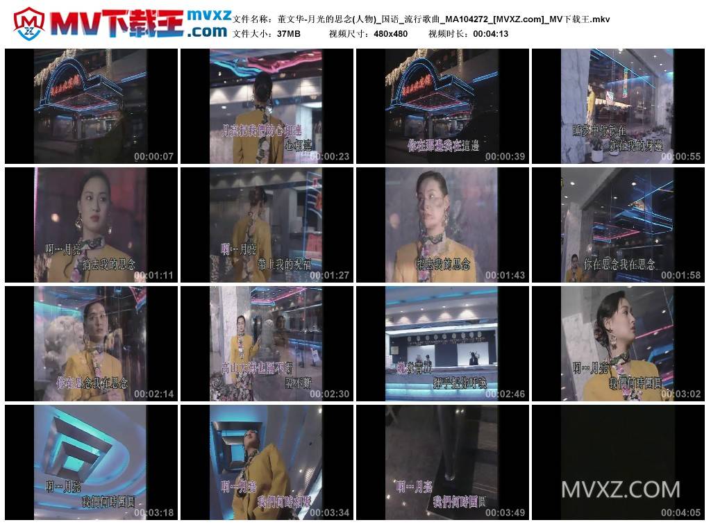 董文华-月光的思念(人物)_国语_流行歌曲_MA104272